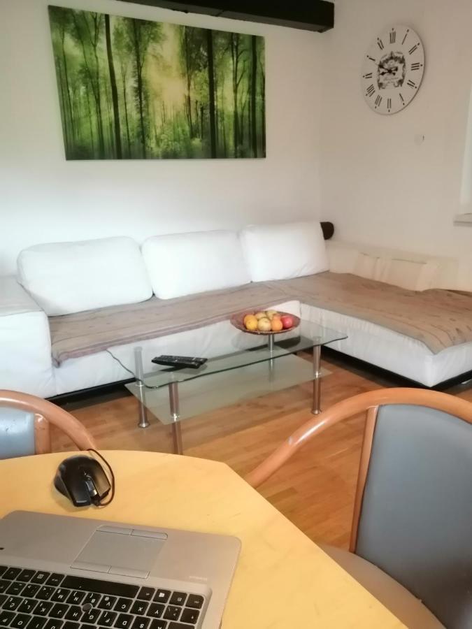 Apartma Zeus Єсеніце Номер фото